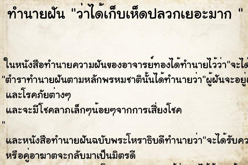 ทำนายฝันทำนายฝันว่าได้เก็บเห็ดปลวกเยอะมาก